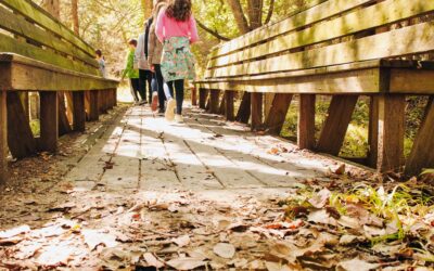 Start Your Estate Journey with NLOM